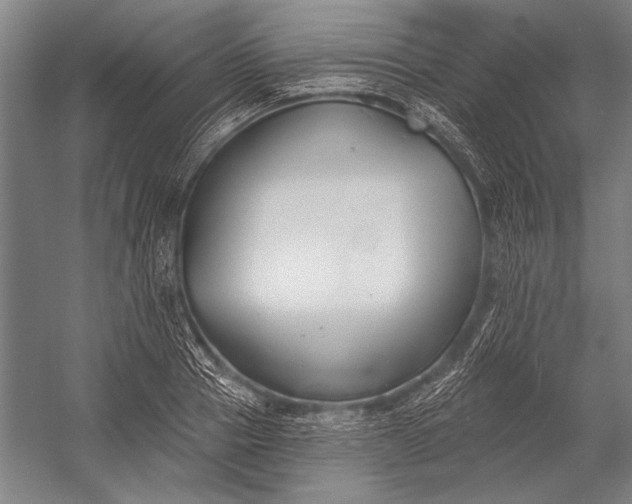 X0000053000937200507221243