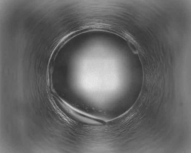 X0000053000940200507221243