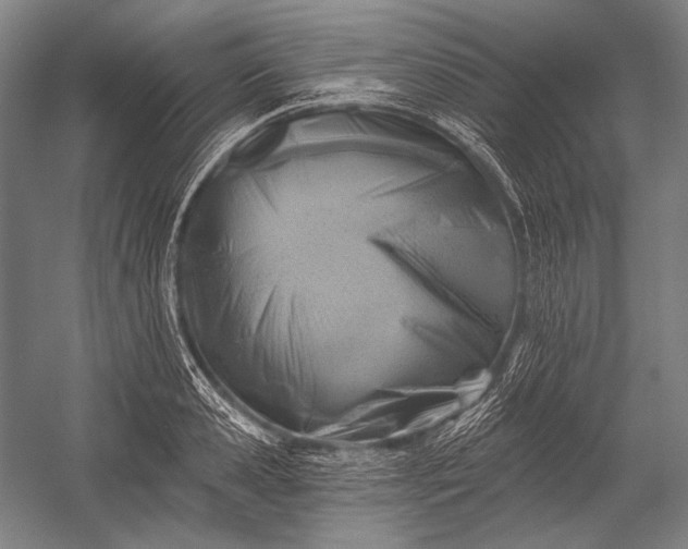 X0000053000941200507221243