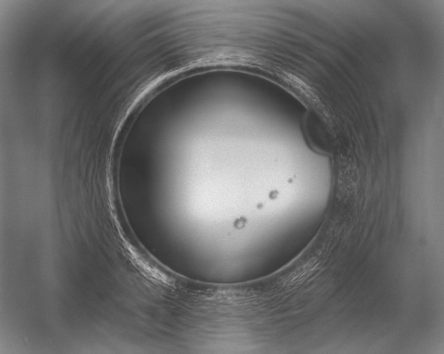 X0000053000942200507221243