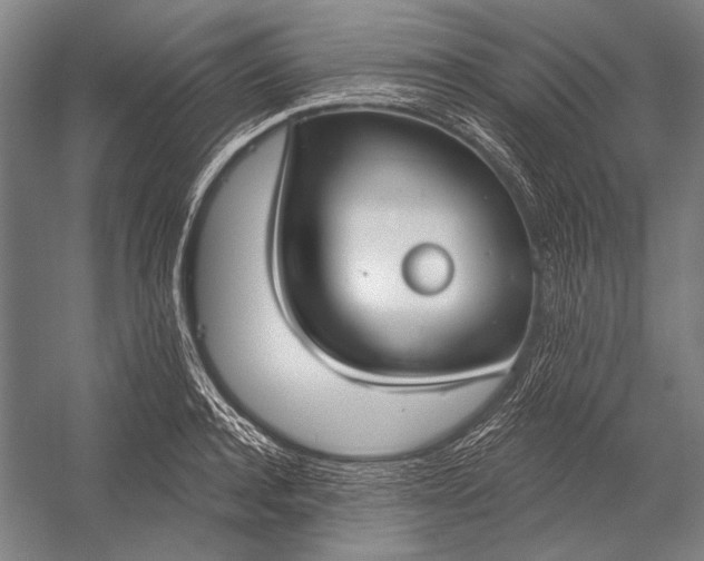 X0000053000944200507221243