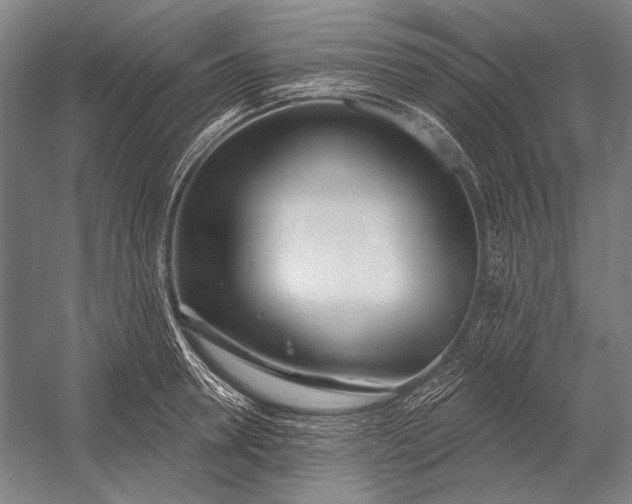 X0000053000946200507221243