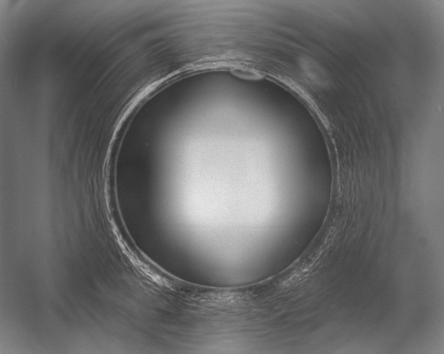 X0000053000949200507221243