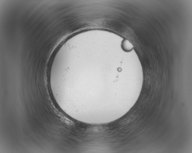 X0000053000950200507221243