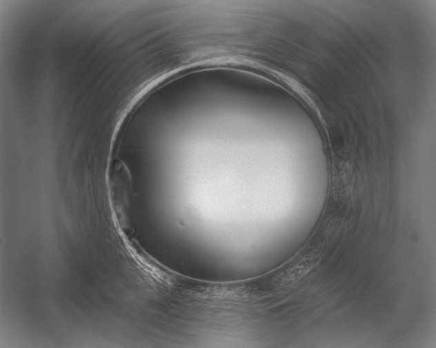 X0000053000951200507221243