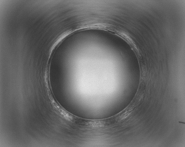 X0000053000952200507221243