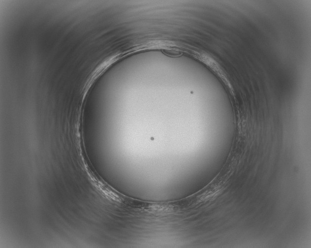 X0000053000954200507221243