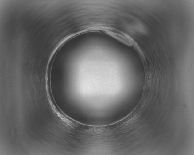 X0000053000955200507221243