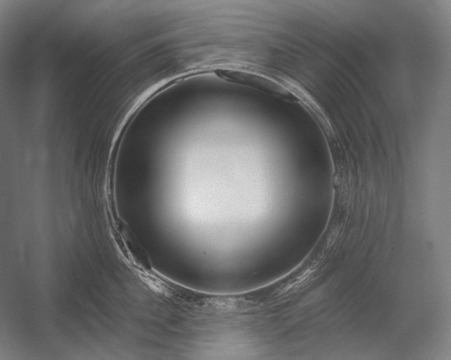 X0000053000956200507221243