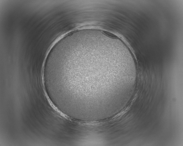 X0000053000957200507221243