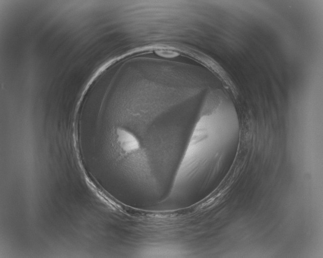 X0000053000958200507221243