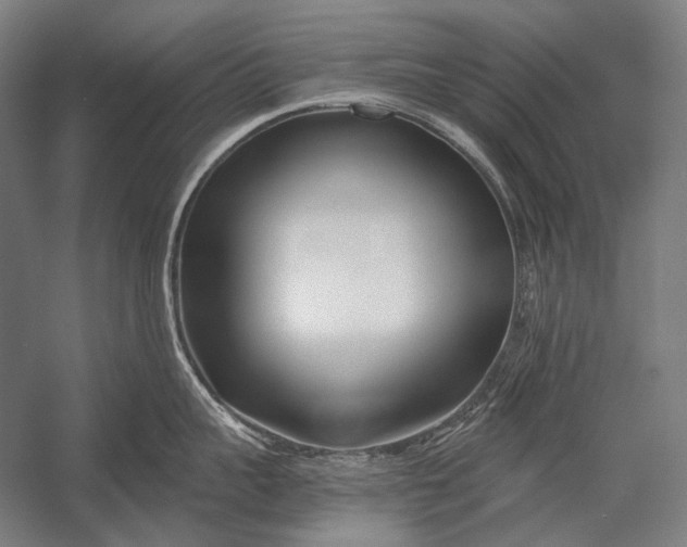 X0000053000959200507221244