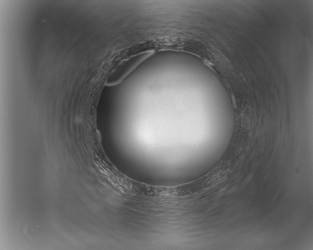 X0000053000961200507221243