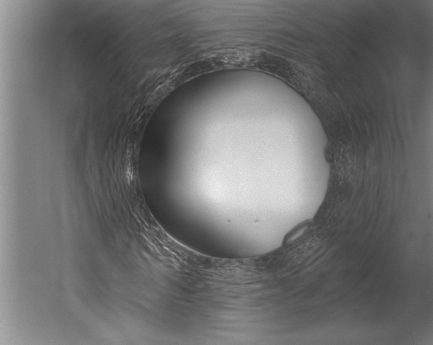 X0000053000962200507221243