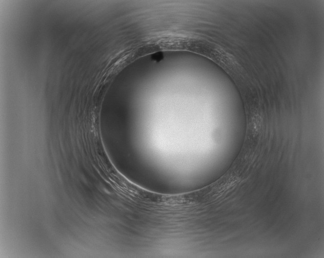 X0000053000964200507221243