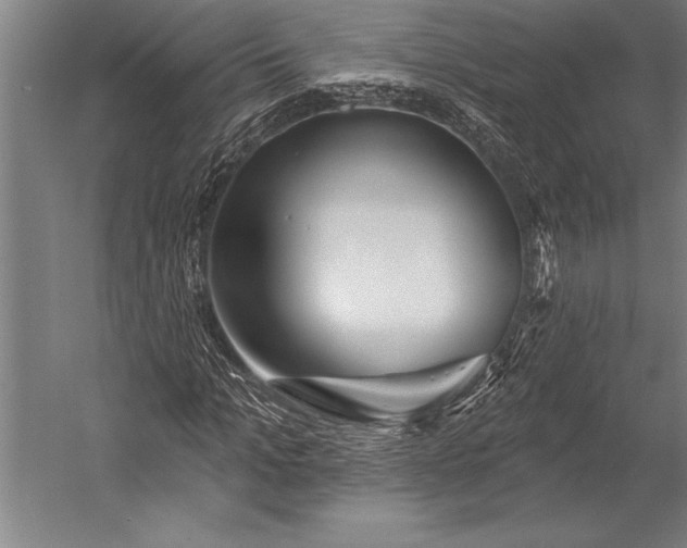 X0000053000965200507221243