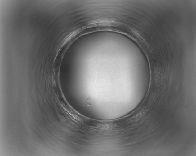 X0000053000970200507221243