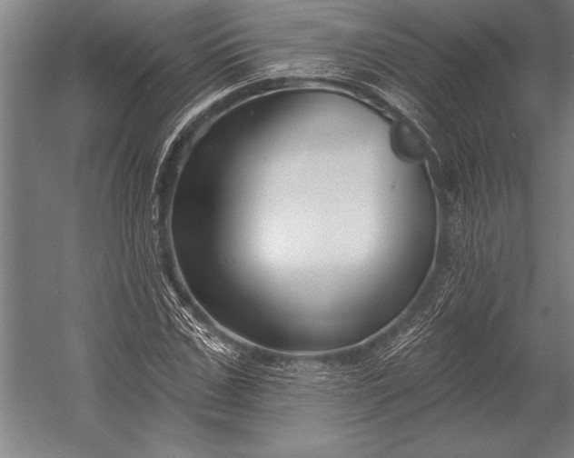 X0000053000971200507221243