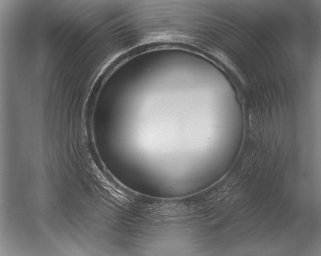 X0000053000972200507221243