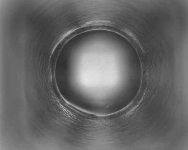 X0000053000973200507221243