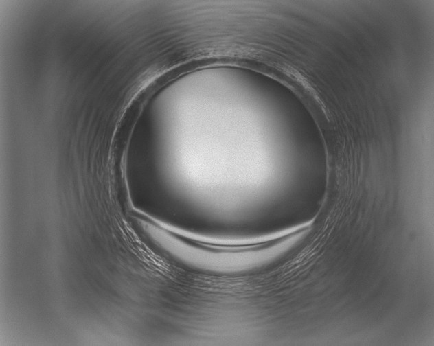 X0000053000975200507221242