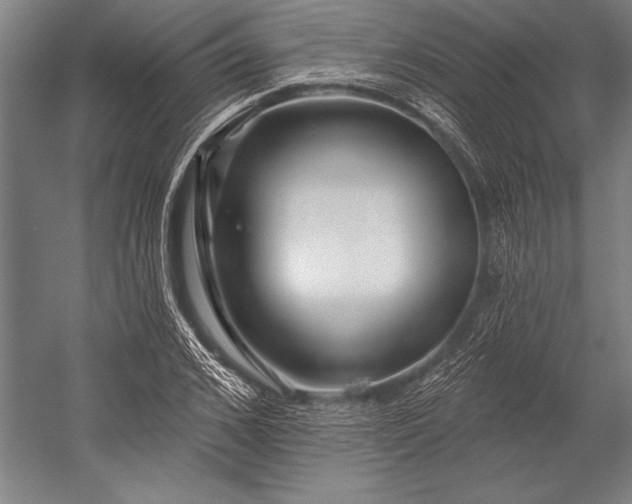 X0000053000976200507221242