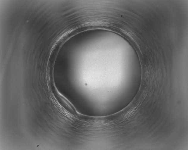 X0000053000979200507221242