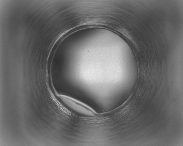 X0000053000980200507221242