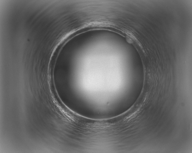 X0000053000981200507221242