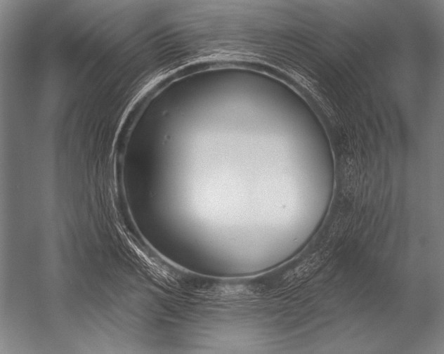 X0000053000982200507221242