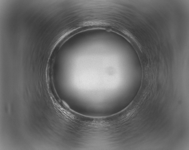 X0000053000983200507221242