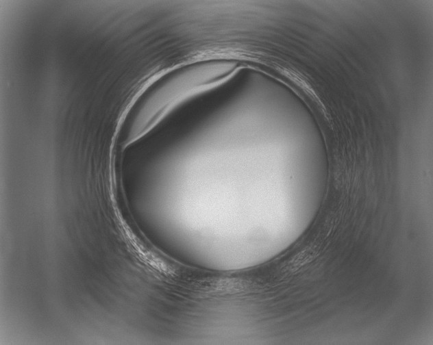 X0000053000984200507221242