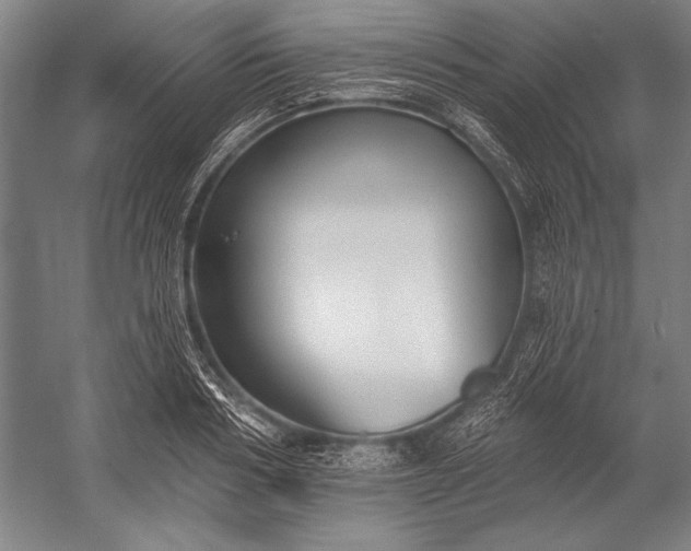 X0000053000986200507221242