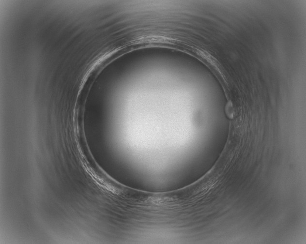 X0000053000987200507221242