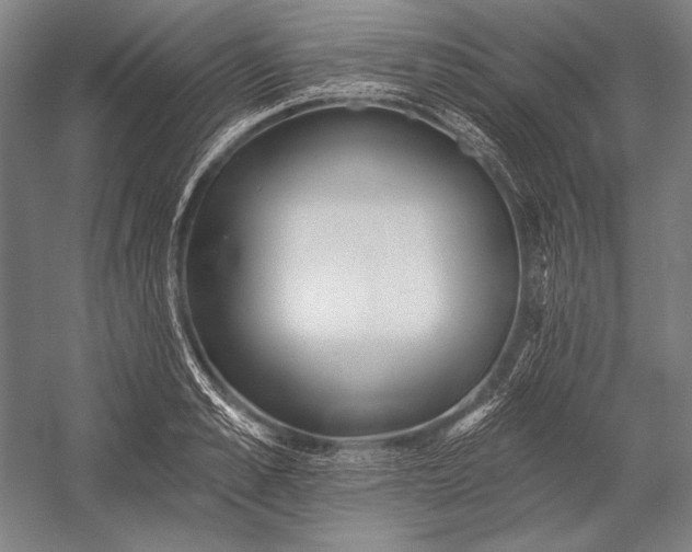 X0000053000989200507221242