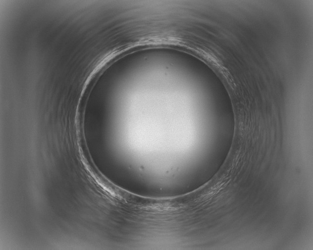 X0000053000990200507221242