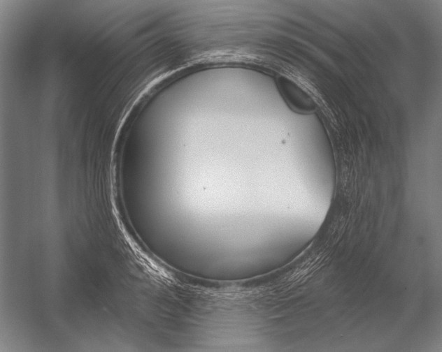 X0000053000992200507221242