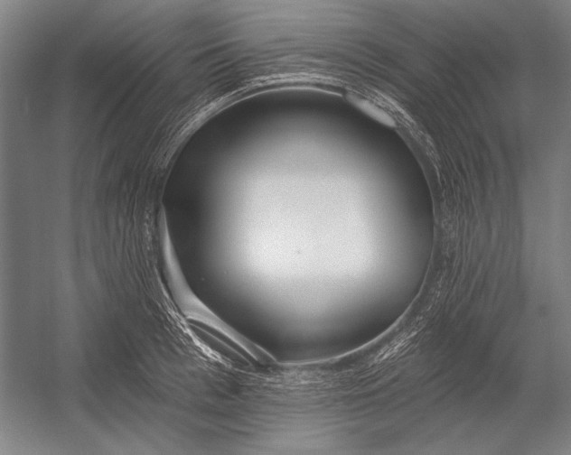 X0000053000993200507221242