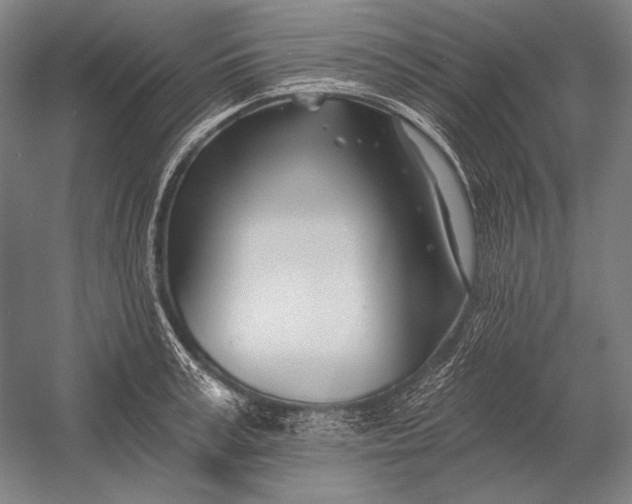 X0000053000995200507221242