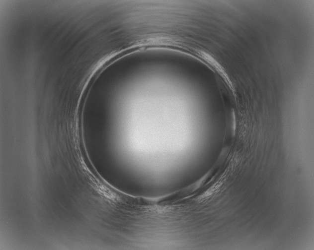 X0000053000996200507221242