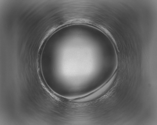 X0000053000997200507221242