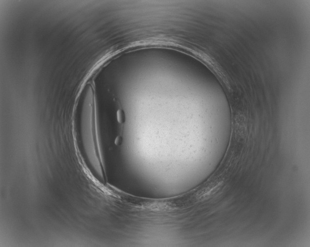 X0000053000998200507221242