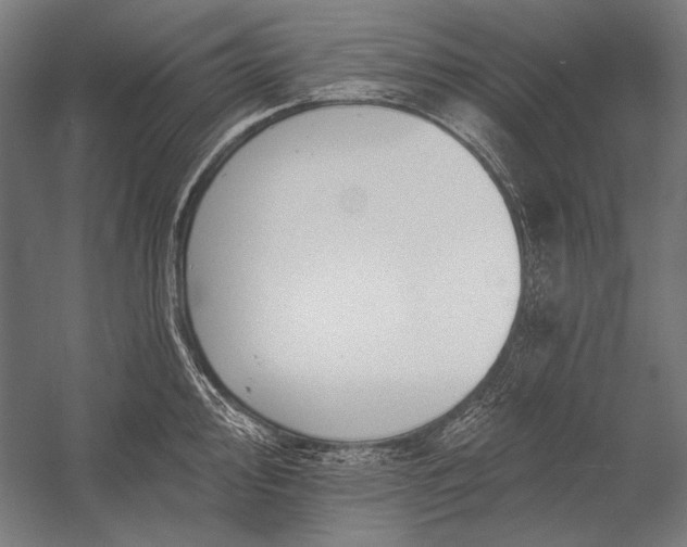 X0000053001000200507221242