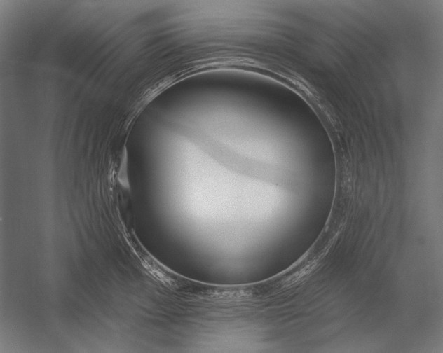 X0000053001001200507221242