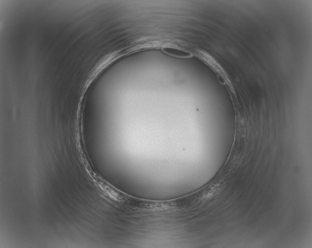 X0000053001002200507221242