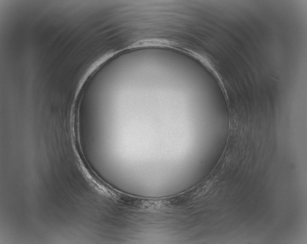 X0000053001003200507221242