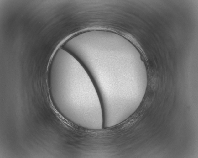 X0000053001004200507221242