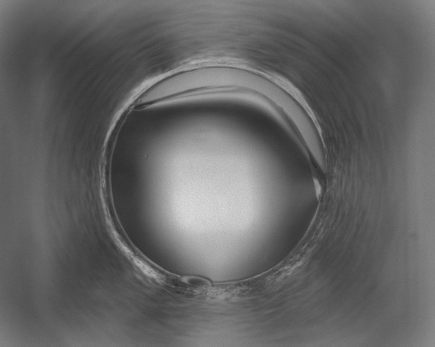 X0000053001005200507221242