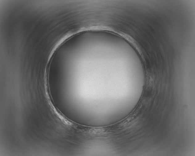 X0000053001006200507221242