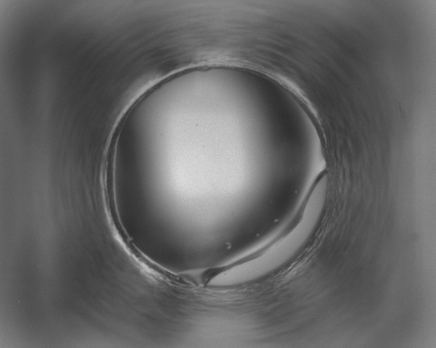 X0000053001007200507221242